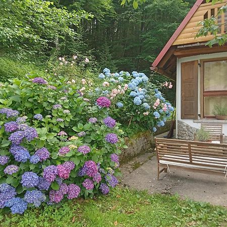Holiday Home Vesna Brod na Kupi Kültér fotó