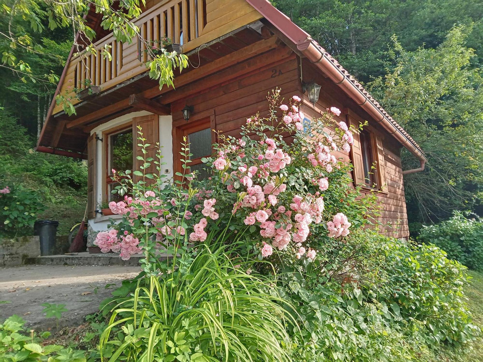 Holiday Home Vesna Brod na Kupi Kültér fotó