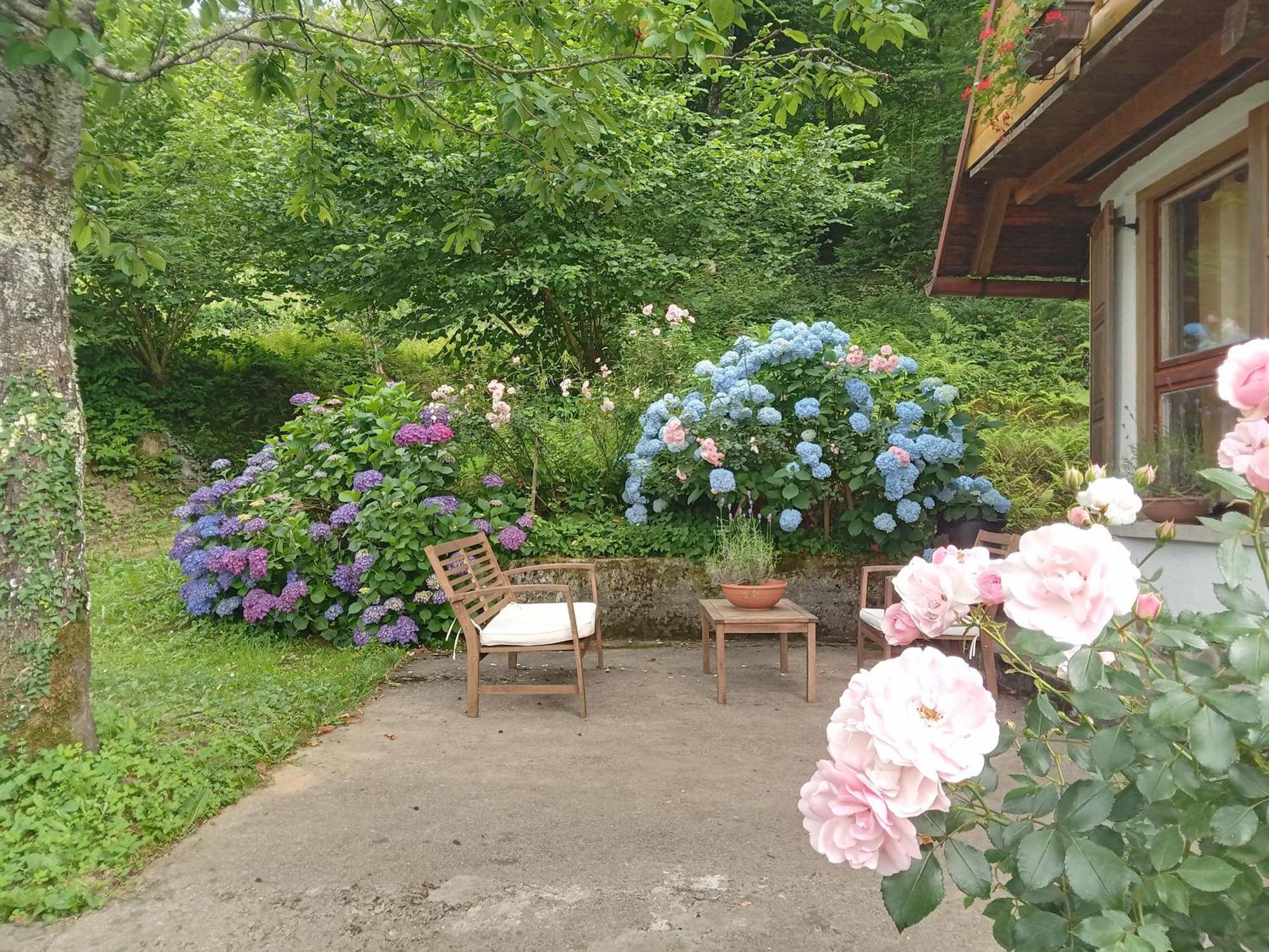 Holiday Home Vesna Brod na Kupi Kültér fotó