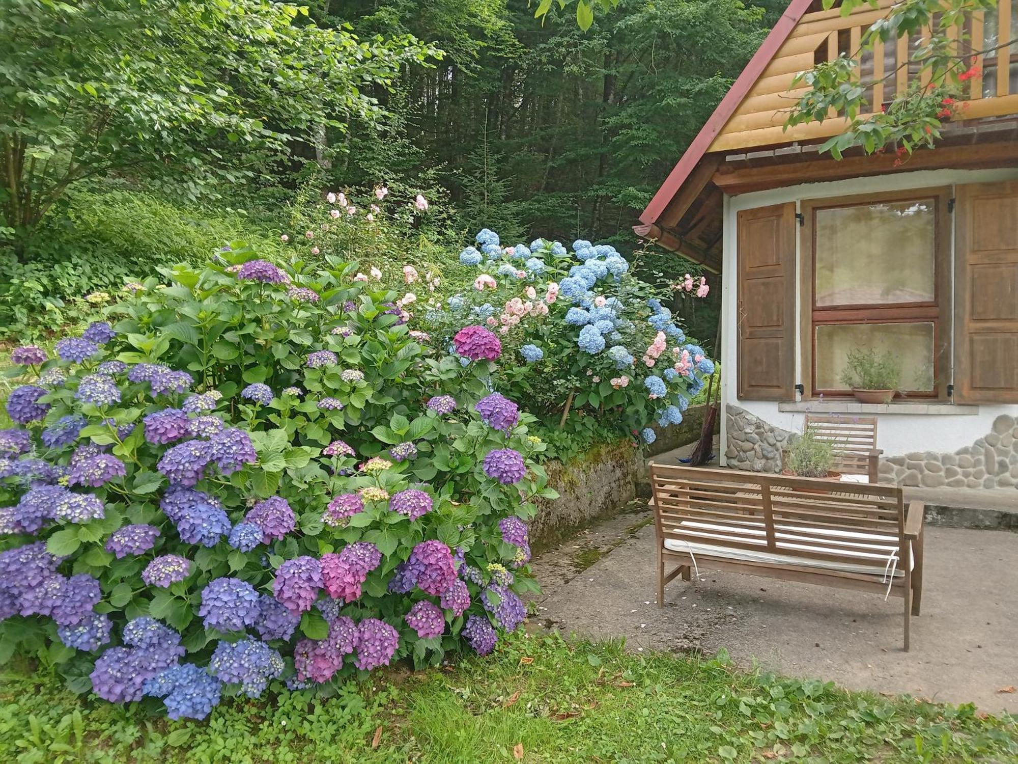 Holiday Home Vesna Brod na Kupi Kültér fotó