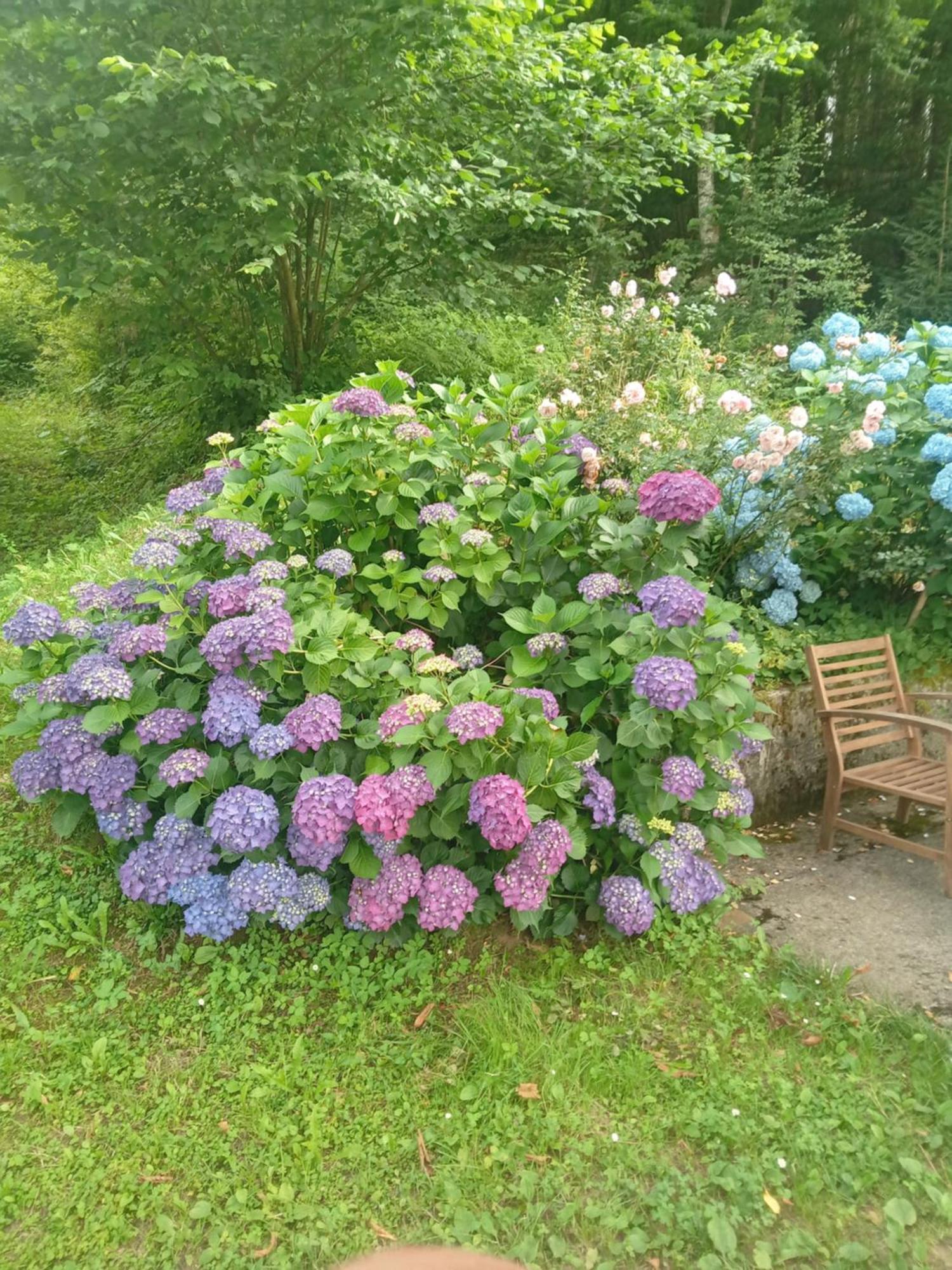 Holiday Home Vesna Brod na Kupi Kültér fotó