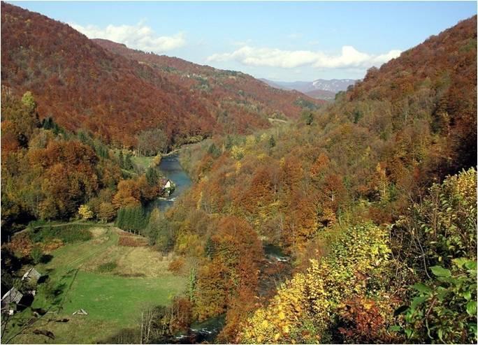 Holiday Home Vesna Brod na Kupi Kültér fotó