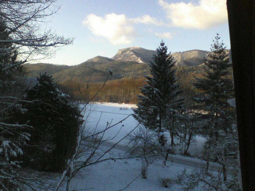 Holiday Home Vesna Brod na Kupi Kültér fotó